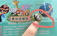 江苏泰州动物园有狗冒充熊猫 园方：确实是松狮染的 ！